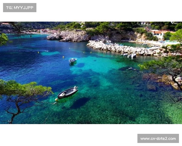 福州市岸海融合治理模式护航UFC赛事